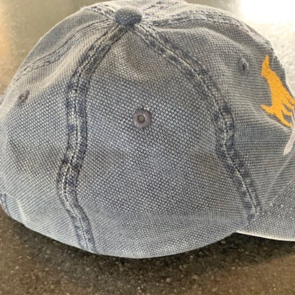 Golden Rescue Distressed Cap - Picture 3 of 5